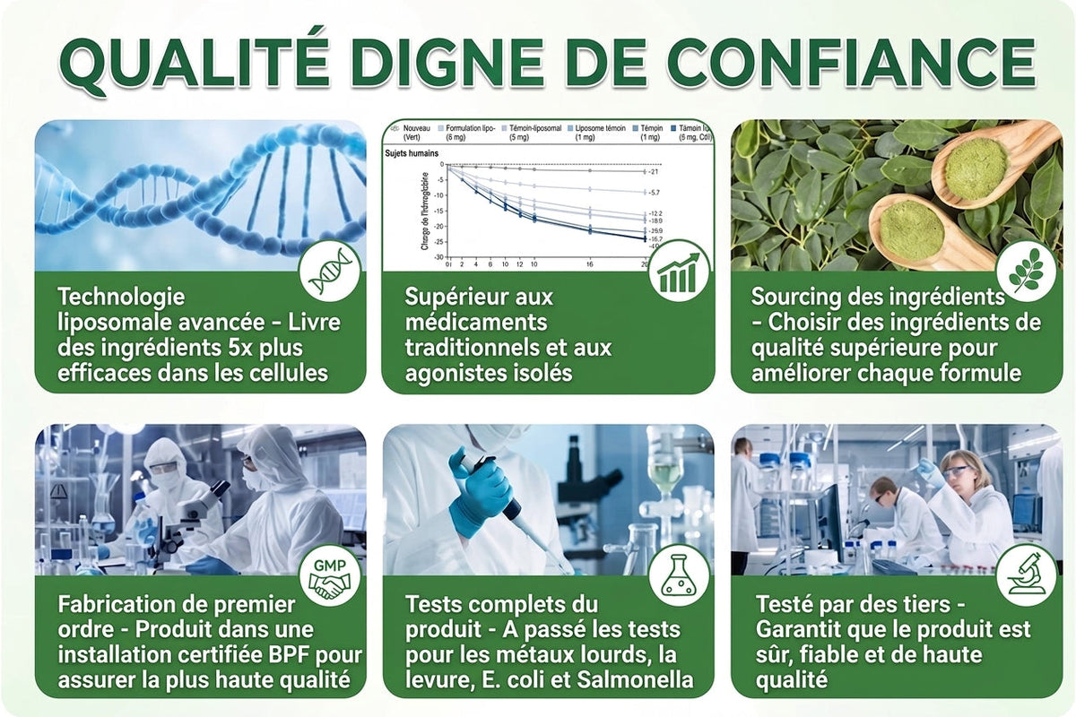 Certifié CE & Certifié BPF | 👑Patch avancé à nano-micro-aiguilles 15-EN-1 Solaroza® au Moringa & Berbérine | Prouvé scientifiquement | Formule 10-en-1 | Résultats en 5 jours 🌿
