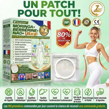 Certifié CE & Certifié BPF | 👑Patch avancé à nano-micro-aiguilles 15-EN-1 Solaroza® au Moringa & Berbérine | Prouvé scientifiquement | Formule 10-en-1 | Résultats en 5 jours 🌿